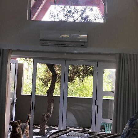 Bella Blue Guesthouse 블룸폰테인 외부 사진