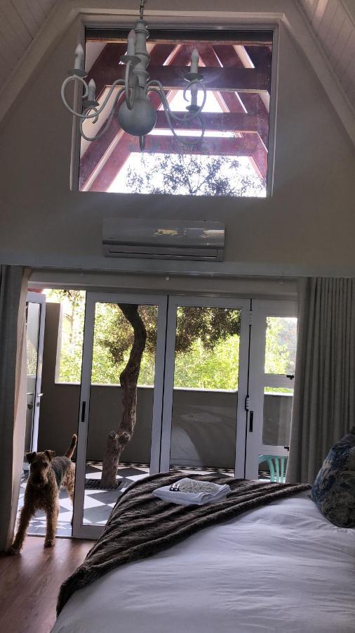 Bella Blue Guesthouse 블룸폰테인 외부 사진